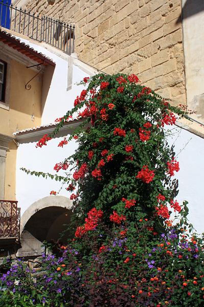 513-Coimbra,30 agosto 2012.JPG